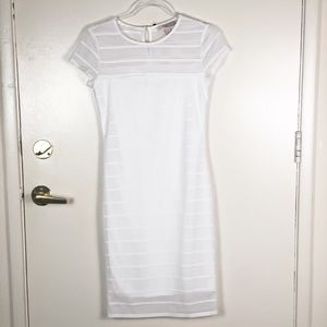 FOREVER 21 Midi Dress